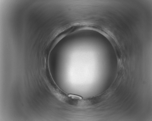 X0000080170109200612151933