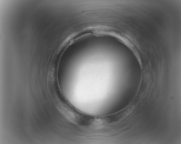 X0000080170111200612151933