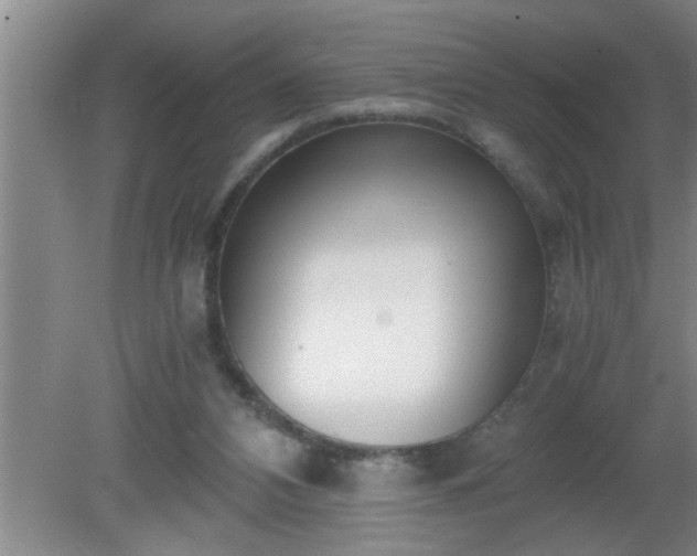 X0000080170112200612151933