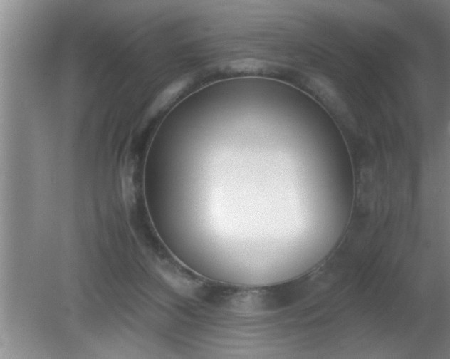 X0000080170116200612151933