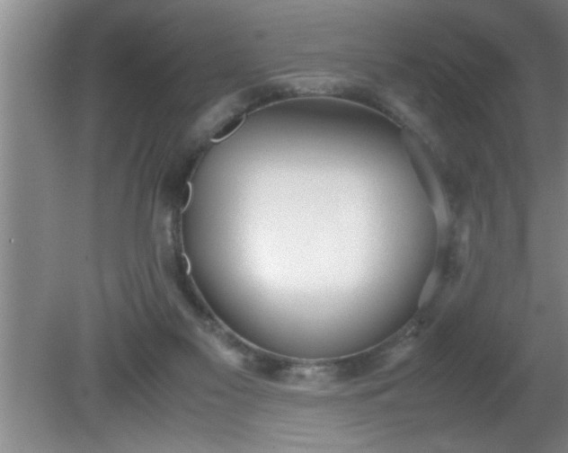 X0000080170117200612151932