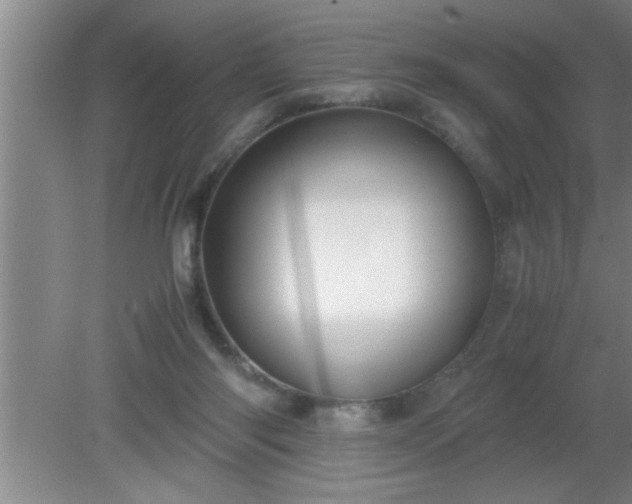 X0000080170118200612151932