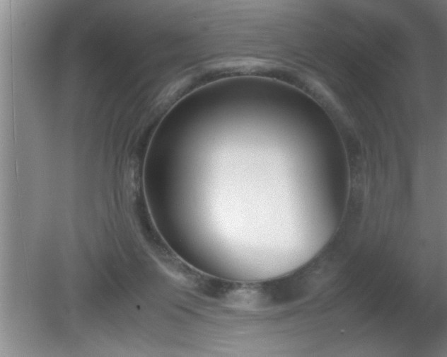 X0000080170119200612151932