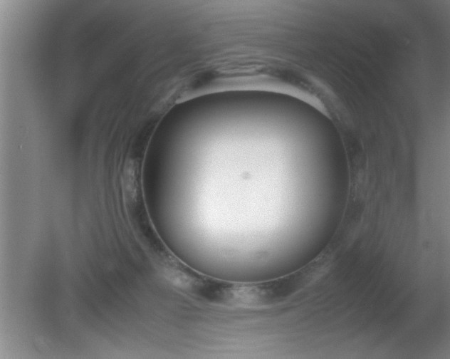 X0000080170121200612151932