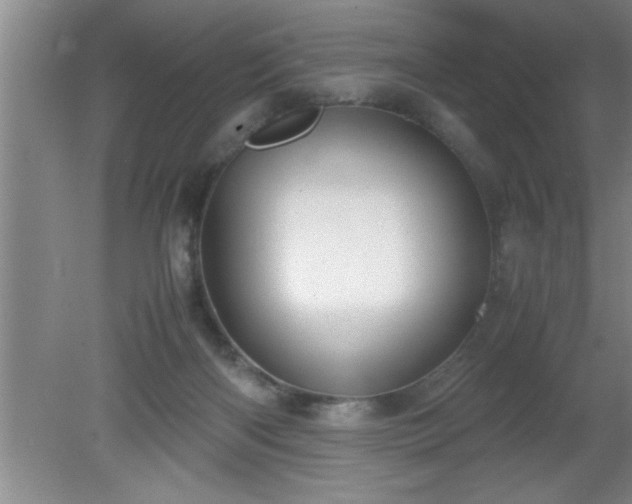 X0000080170122200612151932