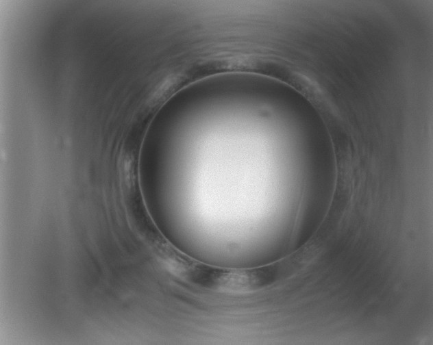 X0000080170123200612151932