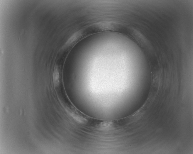 X0000080170124200612151932