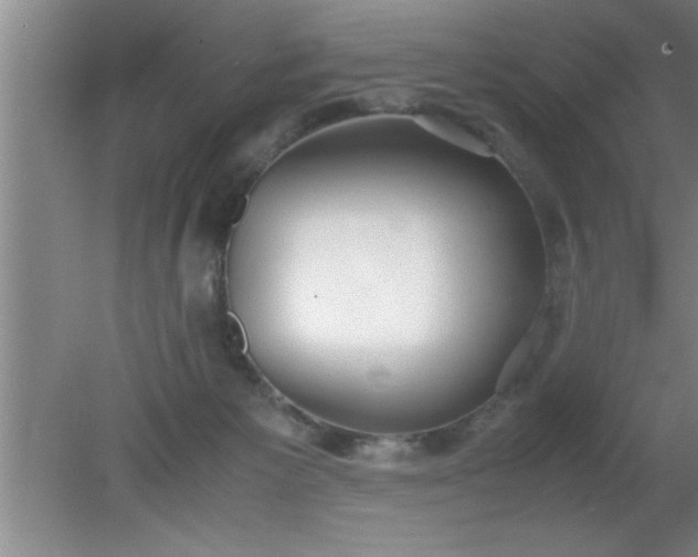 X0000080170125200612151932