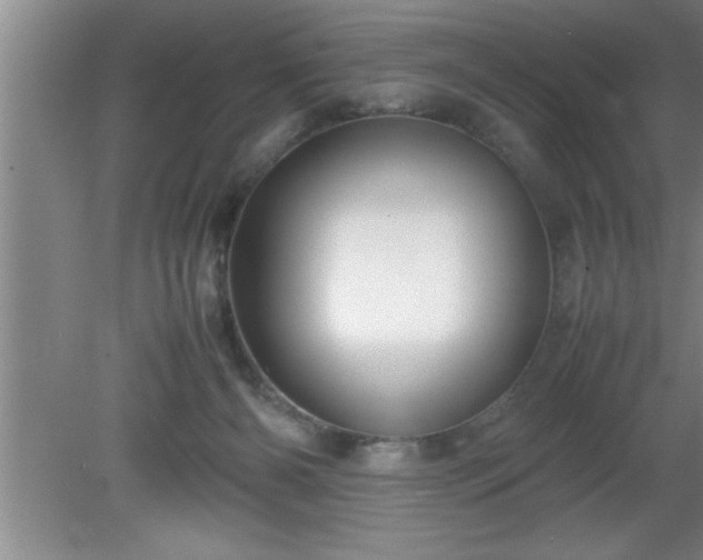 X0000080170126200612151932