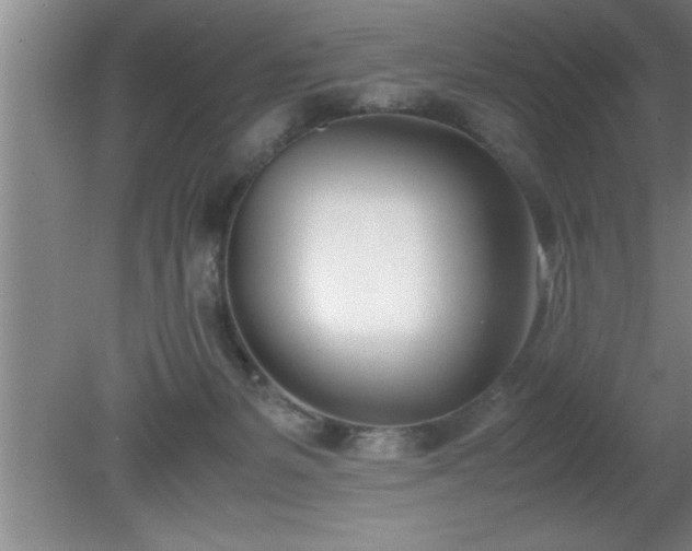 X0000080170127200612151932