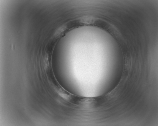 X0000080170128200612151932