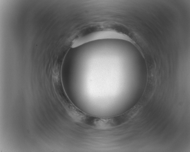 X0000080170129200612151932