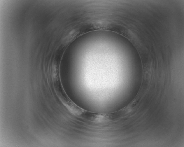 X0000080170130200612151932