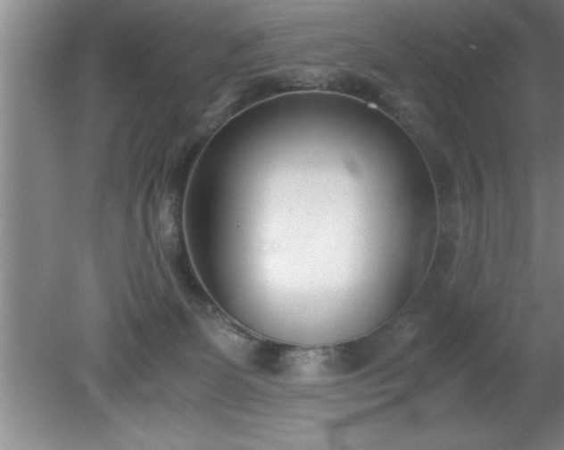 X0000080170131200612151932