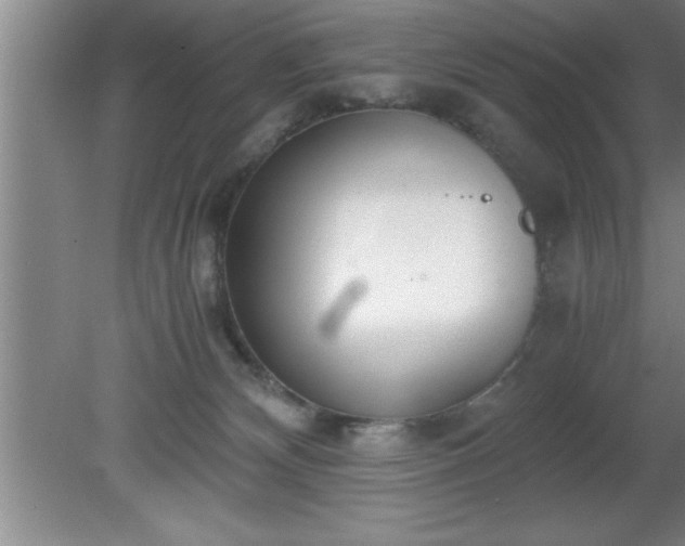 X0000080170132200612151932