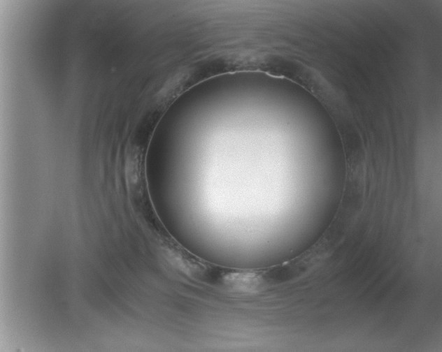 X0000080170133200612151932