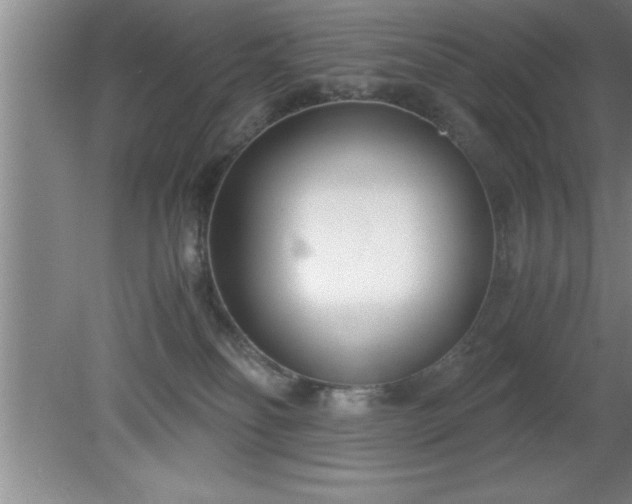 X0000080170134200612151932