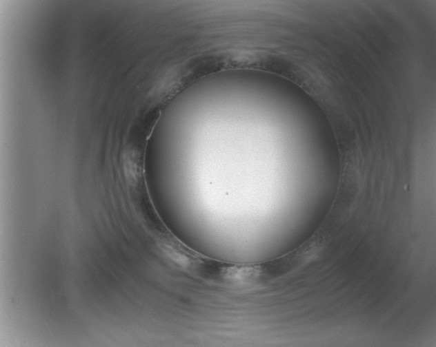 X0000080170135200612151932