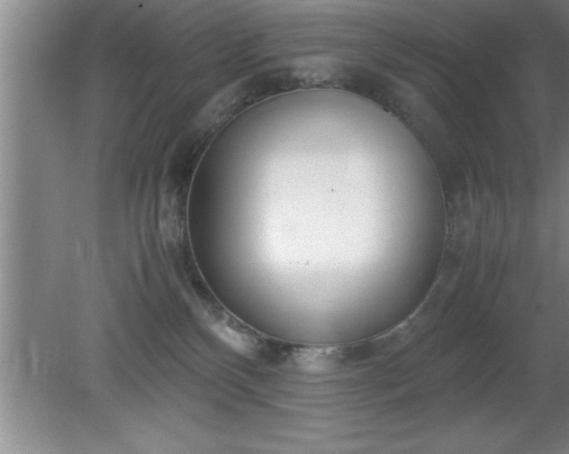 X0000080170136200612151932