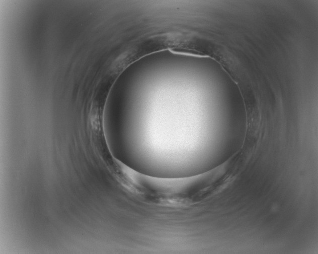 X0000080170137200612151932