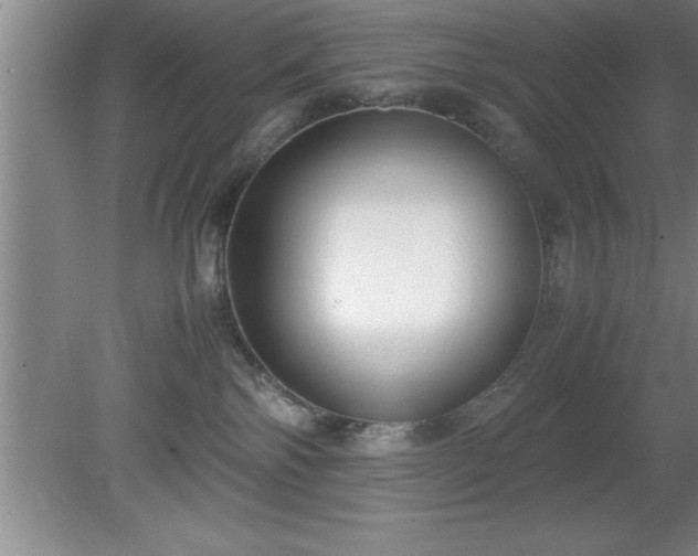 X0000080170138200612151932