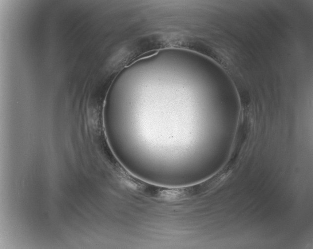 X0000080170139200612151932