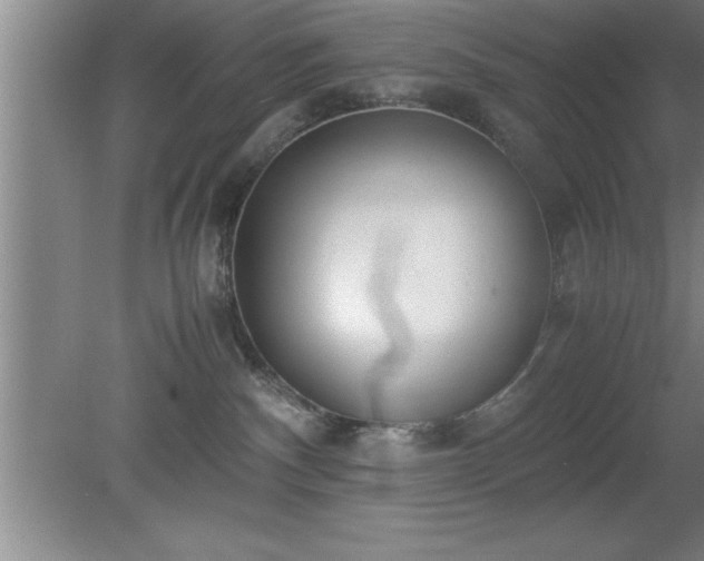 X0000080170140200612151932