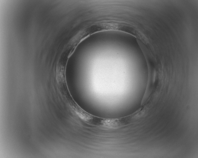 X0000080170141200612151932