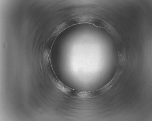 X0000080170142200612151932