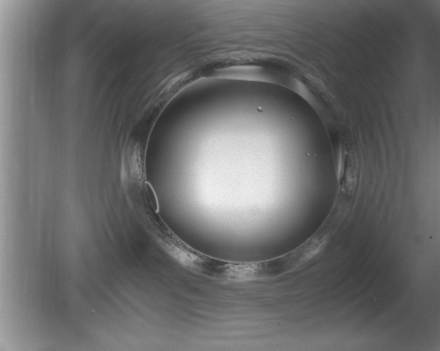 X0000080170143200612151932