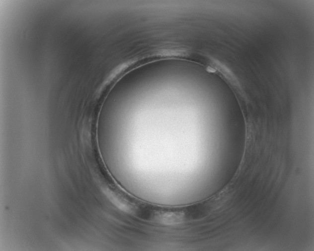 X0000080170155200612151931