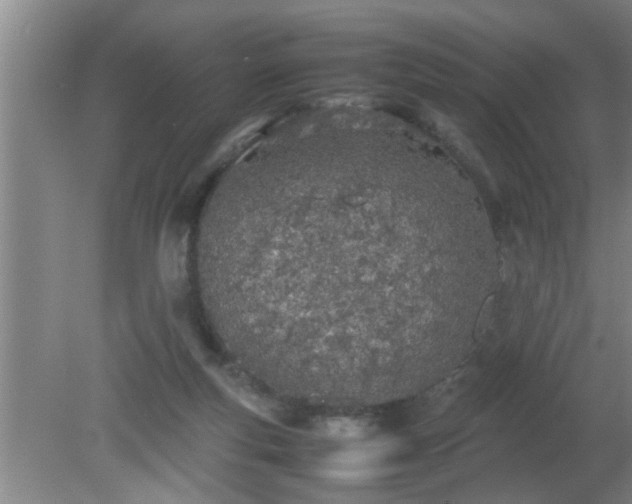 X0000080170163200612151932