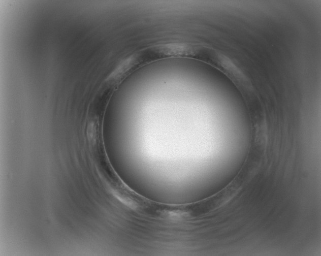 X0000080170165200612151932