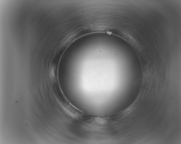 X0000080170166200612151932