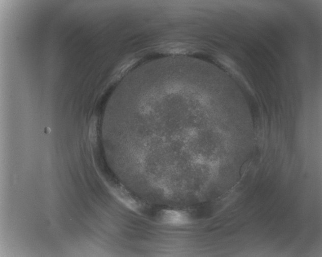 X0000080170167200612151932