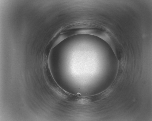 X0000080170168200612151932