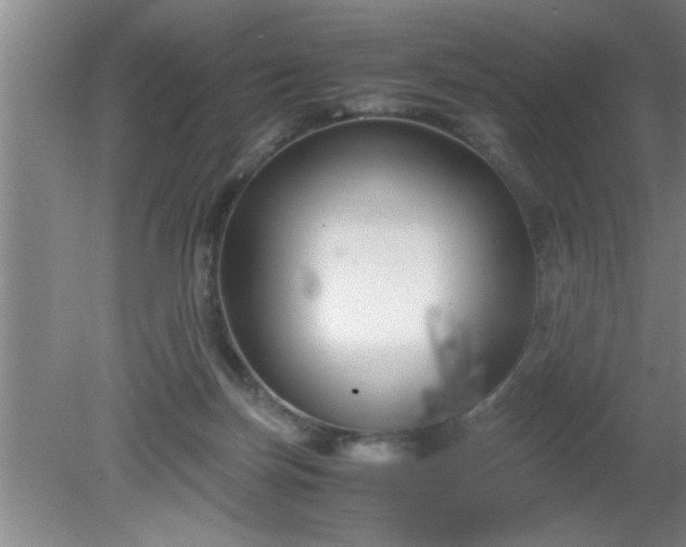 X0000080170171200612151932