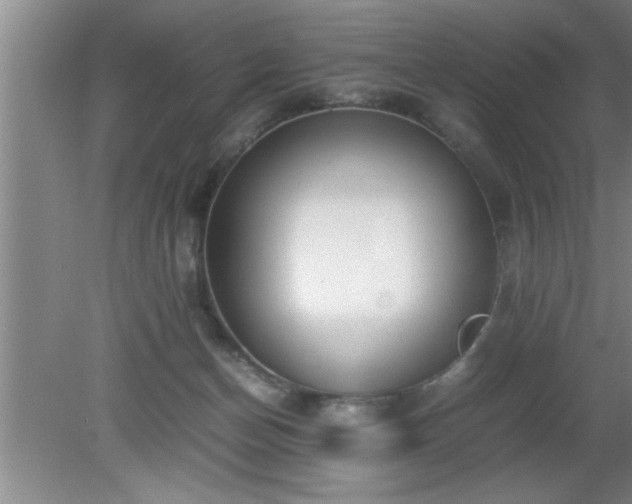 X0000080170174200612151932