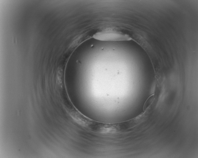 X0000080170175200612151932