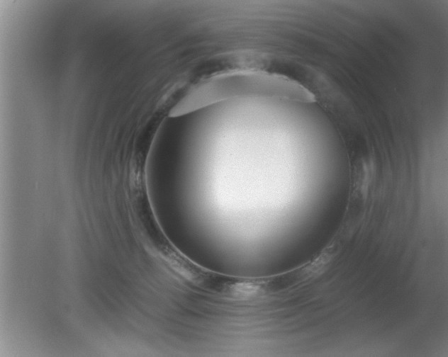 X0000080170176200612151932