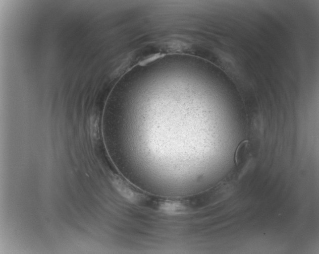 X0000080170177200612151932