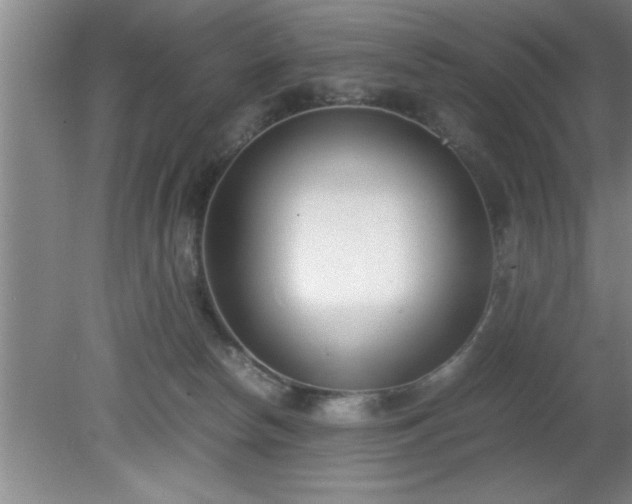 X0000080170178200612151932