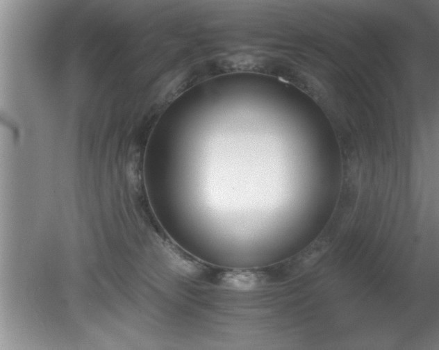 X0000080170181200612151932