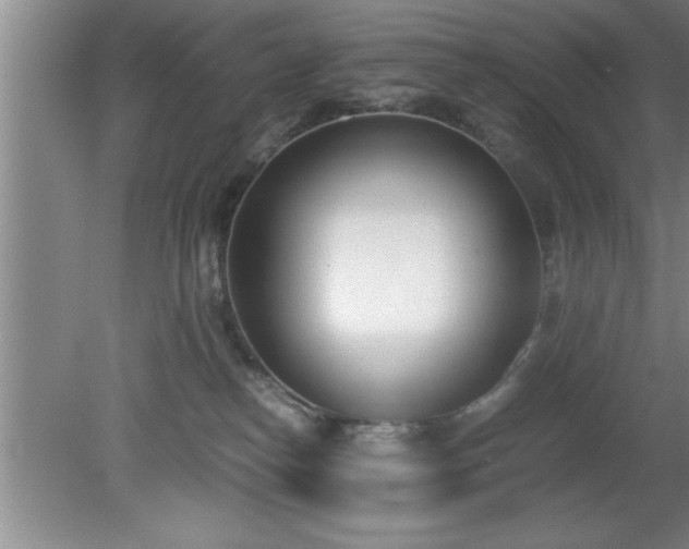 X0000080170182200612151932