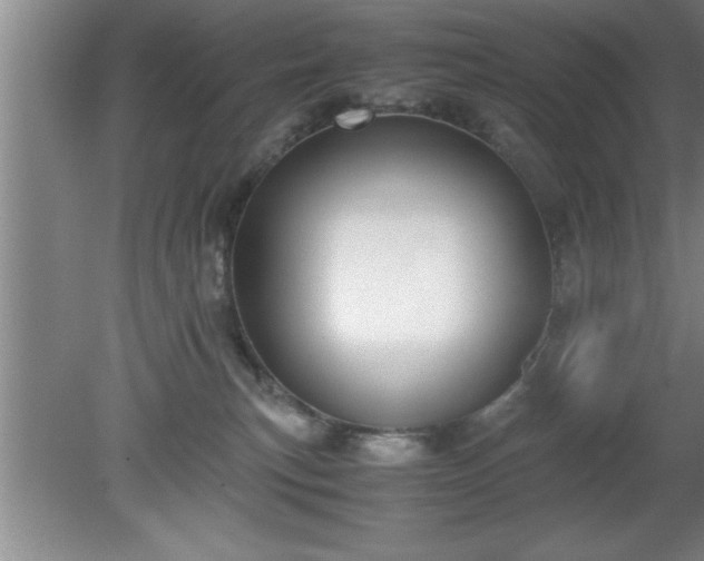 X0000080170183200612151932