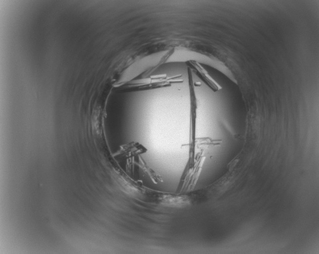 X0000080170185200612151932