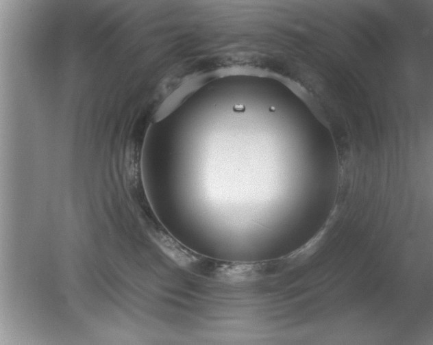 X0000080170186200612151932