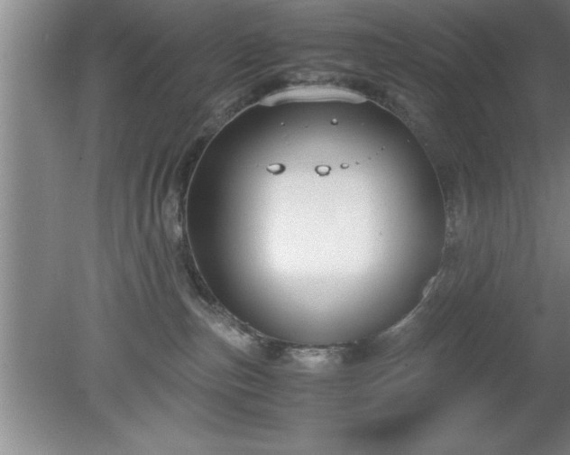 X0000080170187200612151932