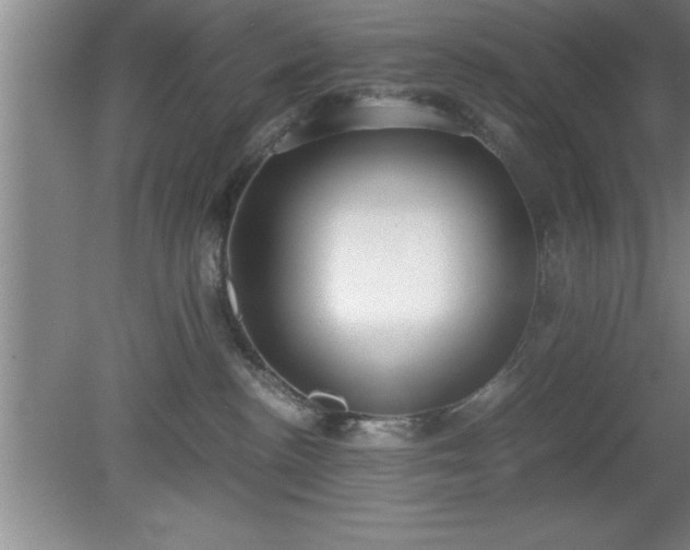 X0000080170188200612151932