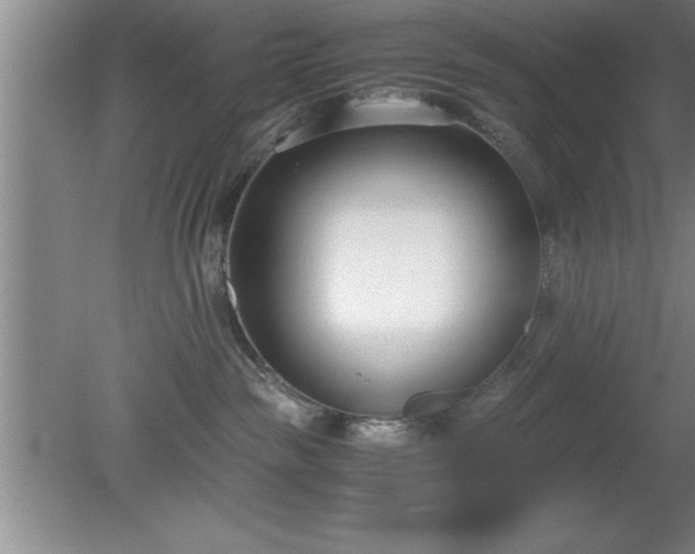 X0000080170189200612151932